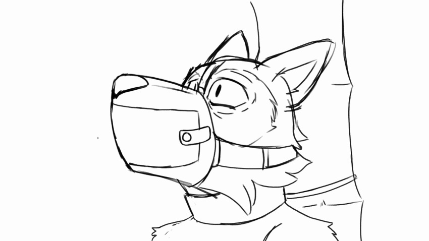 animated anthro bamboo bdsm beastars bodily_fluids bondage bound canid canine canis cock_gag collar deep_throat drooling gag gagged legoshi_(beastars) male male/male mammal muzzle_(object) muzzled oral saliva smallsavant strug tongue training unfinished wolf