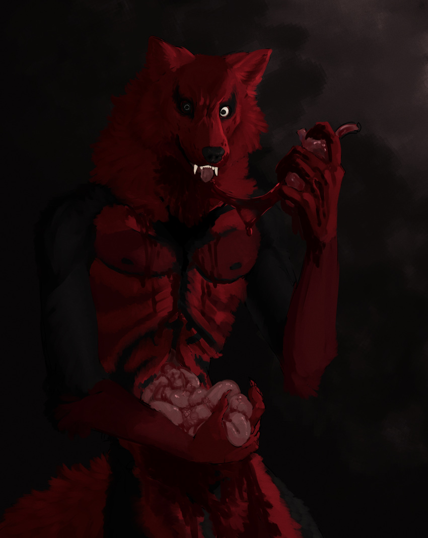 absurd_res anthro autocannibalism black_body black_fur blood blood_on_face blood_on_fur blood_on_hand blood_splatter bodily_fluids canid canine canis cannibalism cricketkisses disembowelment freshly_uprooted fur gore guts hi_res intestines male mammal nipples organs red_body red_fur rib_cage smile solo tongue tongue_out wolf