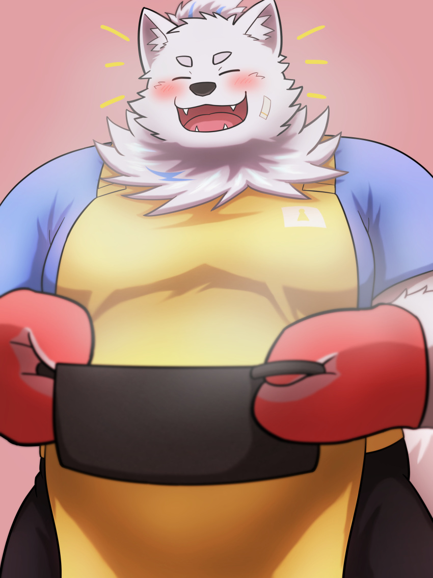 absurd_res anthro apron bandage bandage_on_face belly blush canid canine canis clothing cooking_pot domestic_dog fur handwear hi_res lifewonders live_a_hero male mammal nordic_sled_dog oven_mitts overweight samoyed smile solo spitz steam white_body white_fur xizioix_210 yohack