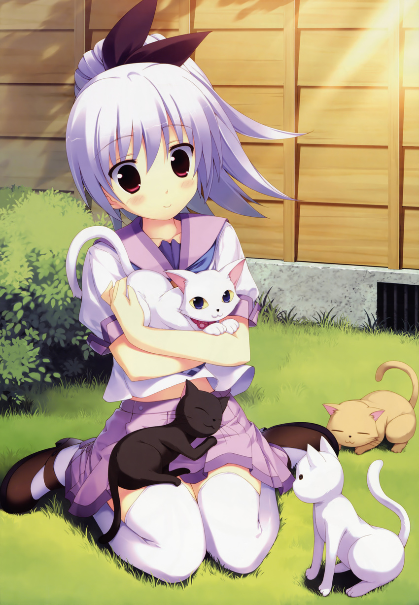 absurdres cat hidamari_basket highres kiba_satoshi koizumi_mayu purple_hair school_uniform solo thighhighs