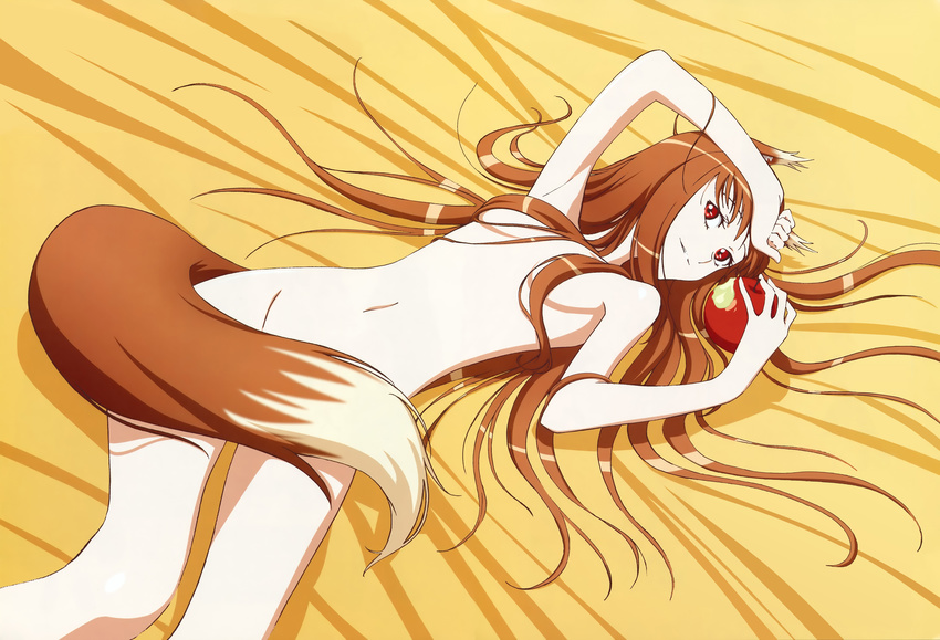 absurdres animal_ears apple arm_up armpits bangs bite_mark breasts brown_hair clenched_hand closed_mouth detexted dutch_angle food from_above fruit groin hair_censor hair_over_breasts hair_over_crotch hair_spread_out hand_on_own_head highres holding holding_food holding_fruit holo light_smile long_hair looking_at_viewer lying navel non-web_source nude official_art red_eyes scan small_breasts smile solo spice_and_wolf spice_and_wolf_ii tail tail_censor third-party_edit very_long_hair wheat wolf_ears wolf_tail yamakado_ikuo