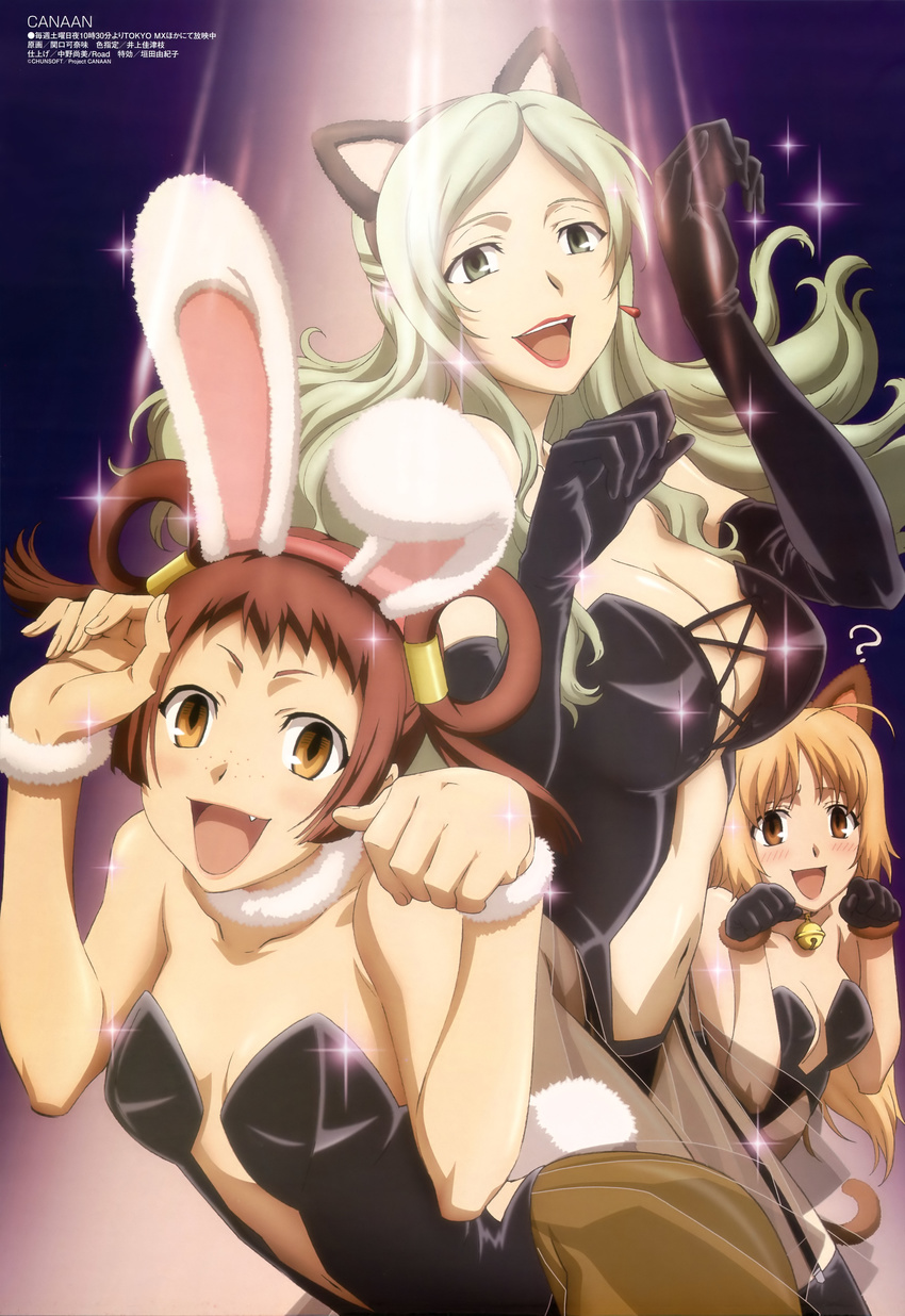 428 :d ? absurdres animal_ears blonde_hair blush breasts brown_eyes brown_hair bunny_ears bunny_girl canaan cleavage elbow_gloves fang freckles gloves green_eyes green_hair hakkoo highres kittysuit leotard long_hair looking_at_viewer medium_breasts megami multiple_girls official_art oosawa_maria open_mouth pantyhose paw_pose red_eyes sekiguchi_kanami short_hair small_breasts smile yunyun