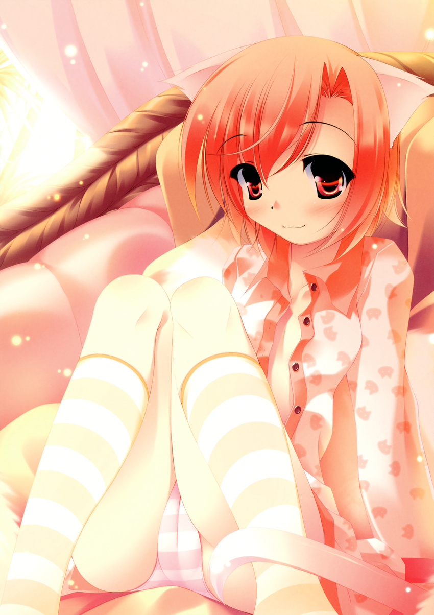 :3 absurdres animal_ears cameltoe cat_ears cat_tail copyright_request highres inuneko kneehighs open_clothes open_shirt panties red_eyes red_hair shirt short_hair socks solo striped striped_legwear striped_panties tail underwear
