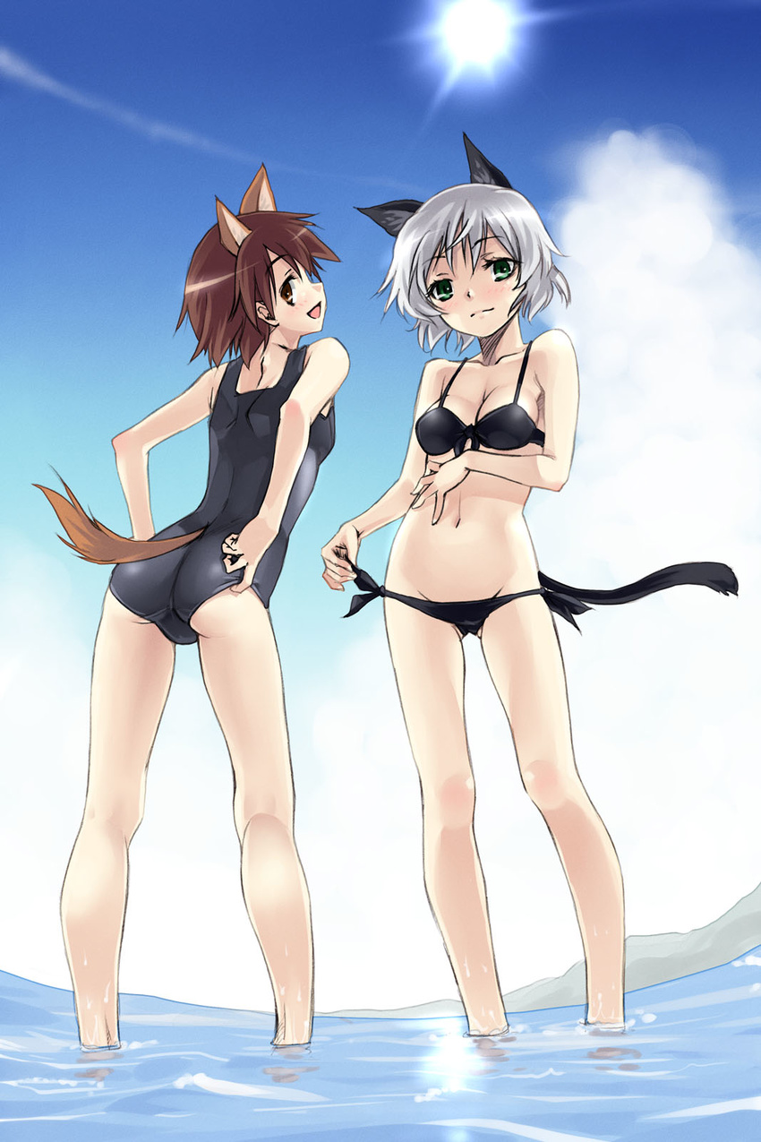 animal_ears ass bikini black_bikini brown_eyes brown_hair cat_ears day green_eyes hands highres legs lowleg miyafuji_yoshika multiple_girls one-piece_swimsuit open_mouth sanya_v_litvyak satou_atsuki school_swimsuit short_hair side-tie_bikini silver_hair smile strike_witches swimsuit tail world_witches_series