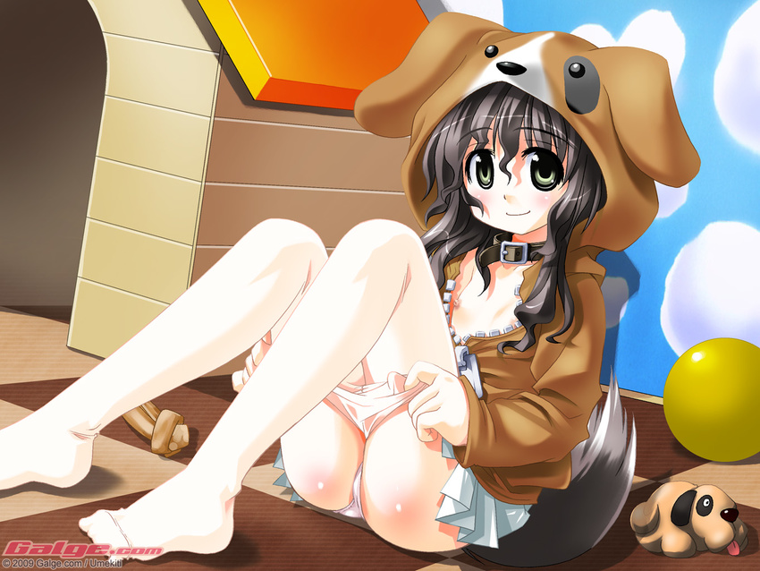 animal_costume ball black_hair collar feet flat_chest galge.com green_eyes nipples panties pantyhose pantyhose_pull solo tail umekichi underwear