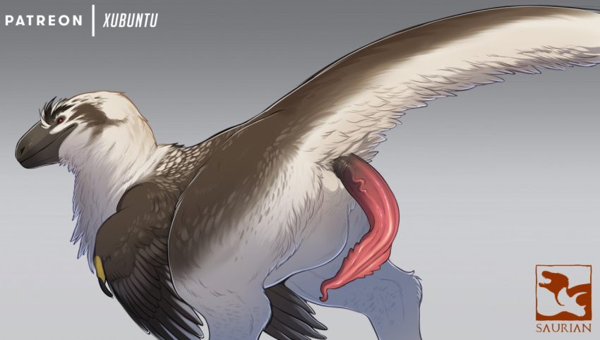 2019 animal_genitalia beak butt cloaca dakotaraptor dinosaur erection feathered_dinosaur feathers feral fur male nude penis qwertydragon reptile saurian scalie solo theropod unusual_penis