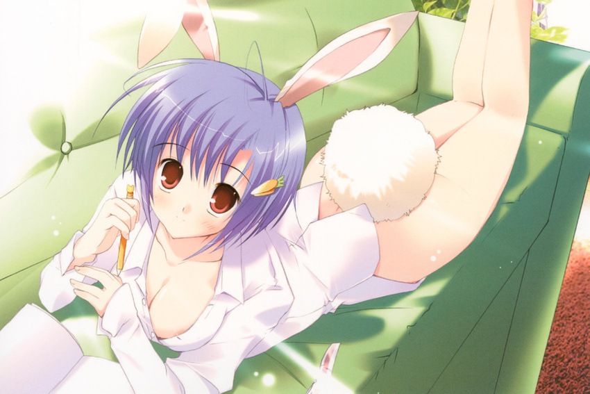 absurdres animal_ears areolae blue_hair blush breasts bunny_ears bunny_tail cleavage copyright_request dress_shirt highres large_breasts lying mikeou on_stomach red_eyes shirt short_hair smile solo tail