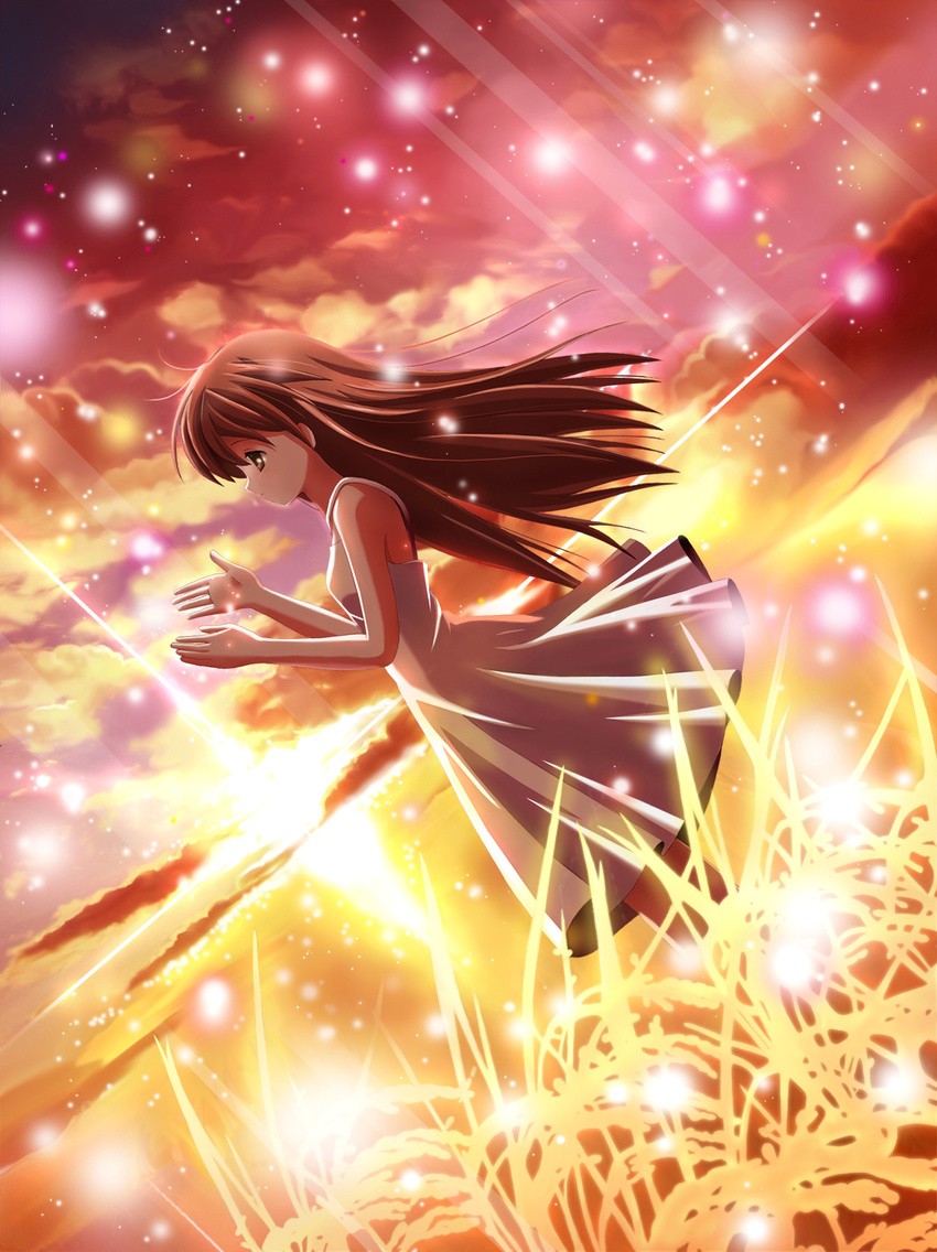 brown_eyes brown_hair chocolat clannad dress dutch_angle girl_from_the_illusionary_world grass highres long_hair solo sparkle sundress sunset