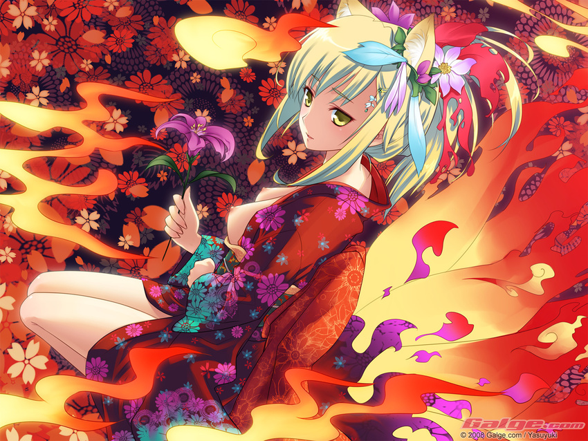 animal_ears blonde_hair breasts flower fox_ears galge.com hair_flower hair_ornament hairclip japanese_clothes kimono long_hair medium_breasts open_clothes open_kimono original seiza sitting solo tail wallpaper yasuyuki yellow_eyes