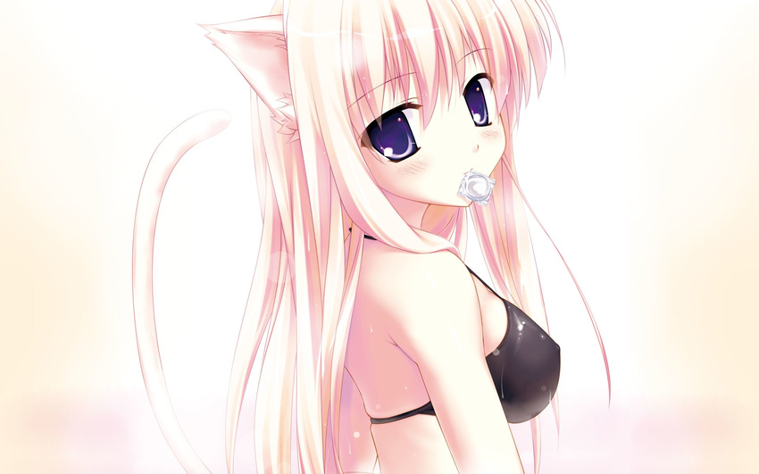 animal_ears artist_request bikini cat_ears cat_tail condom condom_in_mouth copyright_request duplicate highres mouth_hold pink_hair solo swimsuit tail wallpaper widescreen