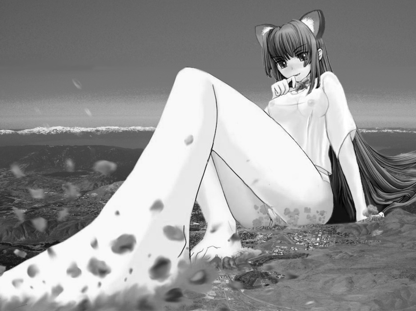 animal_ears artist_request breasts cat_ears collage copyright_request covered_nipples feet giantess greyscale landscape medium_breasts monochrome photo_background see-through solo upskirt