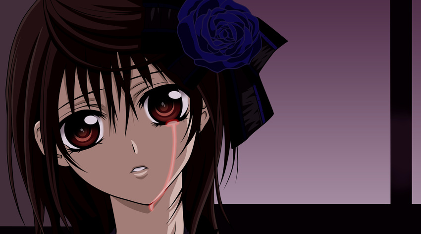 cross_yuuki tagme vampire_knight vector