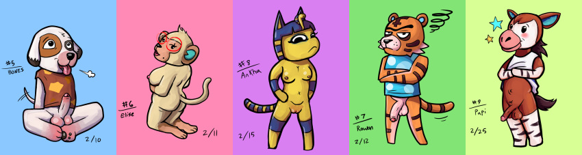 2019 animal_crossing ankha_(animal_crossing) anthro balls black_nose blue_hair blush bones_(animal_crossing) bottomless breasts brown_fur canid canine canis circumcised clothed clothing digital_media_(artwork) domestic_cat domestic_dog egyptian egyptian_headdress elise_(animal_crossing) erection eyewear felid feline felis female flaccid fur giraffid glasses hair headdress headwear humanoid_penis jewelry kneeling looking_at_viewer male mammal monkey mr.shigglesworth nintendo nipples nude okapi open_mouth pantherine papi_(animal_crossing) penis primate pussy rowan_(animal_crossing) shirt simple_background sitting smile stripes tail_tuft tiger tongue tongue_out tuft uncut video_games