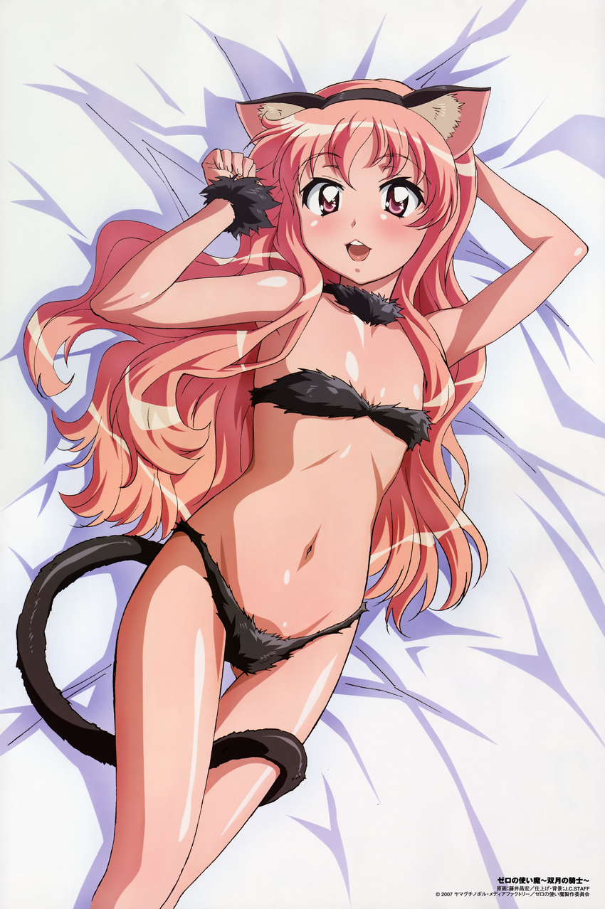 absurdres animal_ears bra cat_ears comp_h's flat_chest fujii_masahiro highres long_hair louise_francoise_le_blanc_de_la_valliere panties solo underwear underwear_only zero_no_tsukaima