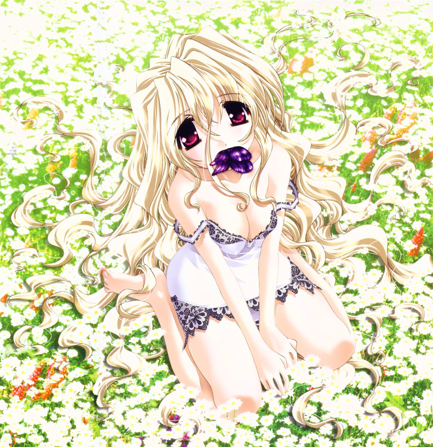 aquarian_age artist_request barefoot blonde_hair breasts bug butterfly cleavage curly_hair flower highres insect long_hair looking_at_viewer medium_breasts mouth_hold red_eyes sitting solo strap_slip