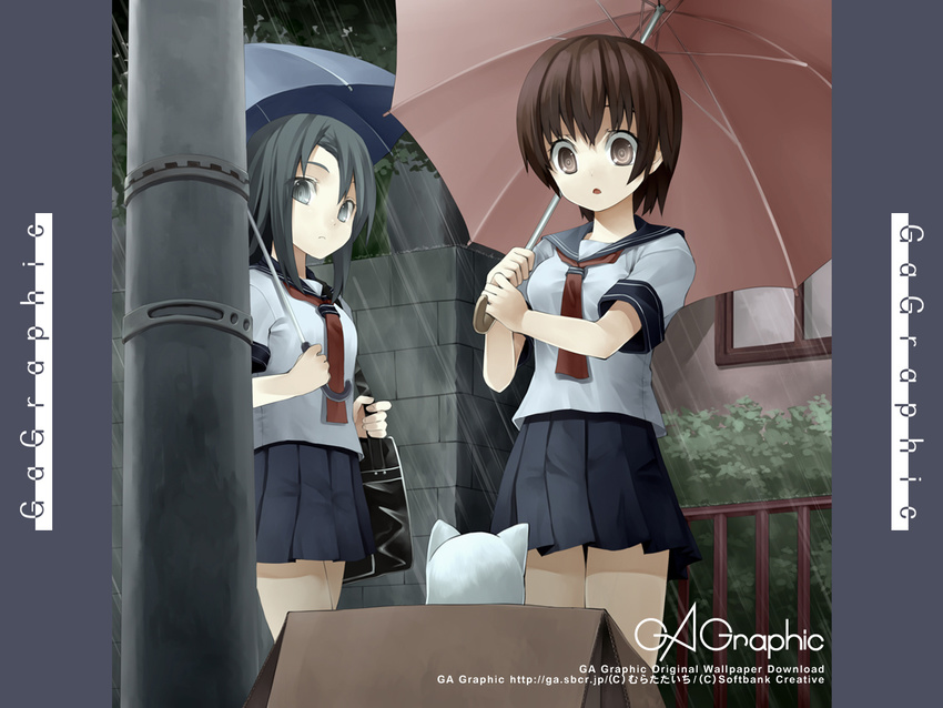 :o artist_name bag bangs black_hair box brown_eyes brown_hair cardboard_box cat copyright_request fence gagraphic grey_eyes holding holding_umbrella looking_at_another looking_down miniskirt multiple_girls murata_taichi neckerchief outdoors parted_bangs pleated_skirt rain school_bag school_uniform serafuku short_hair short_sleeves skirt standing telephone_pole tree umbrella wallpaper watermark web_address window