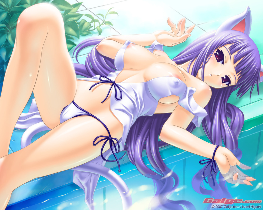 animal_ears areolae blush breasts breasts_apart cameltoe cat_ears cat_tail covered_nipples galge.com head_tilt higuchi_isami large_breasts leaf long_hair lying on_back panties pink_eyes pool poolside purple_hair side-tie_panties solo strap_slip tail tank_top underwear very_long_hair wallpaper water