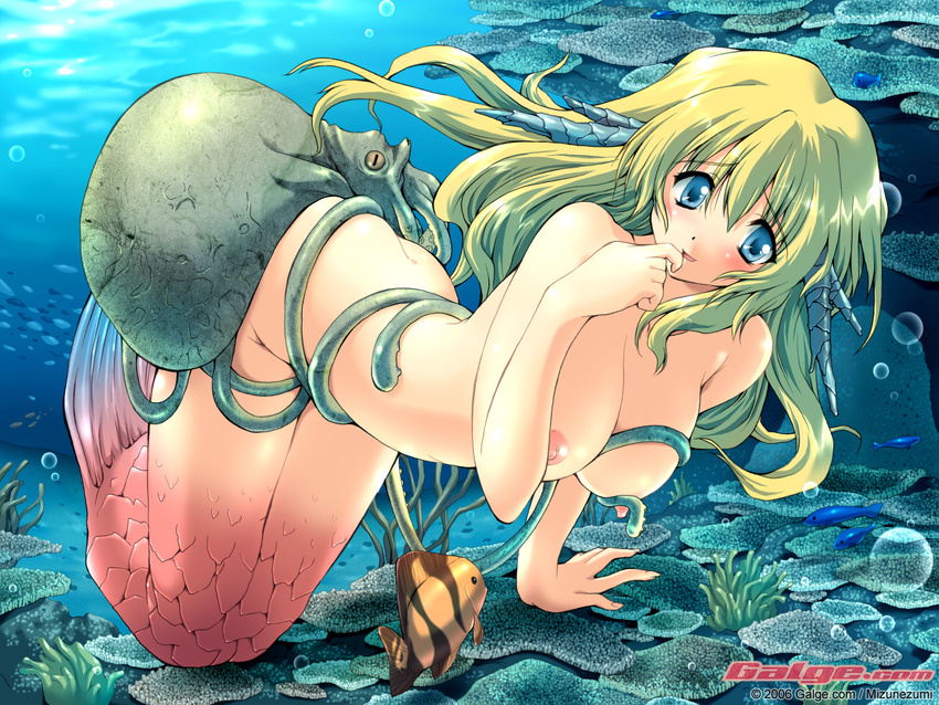 animal ass bent_over bestiality blonde_hair blue_eyes blush breasts finger_to_mouth fish galge.com large_breasts long_hair looking_away mermaid mizunezumi monster_girl nipples nude octopus smile solo split_tail tentacles underwater