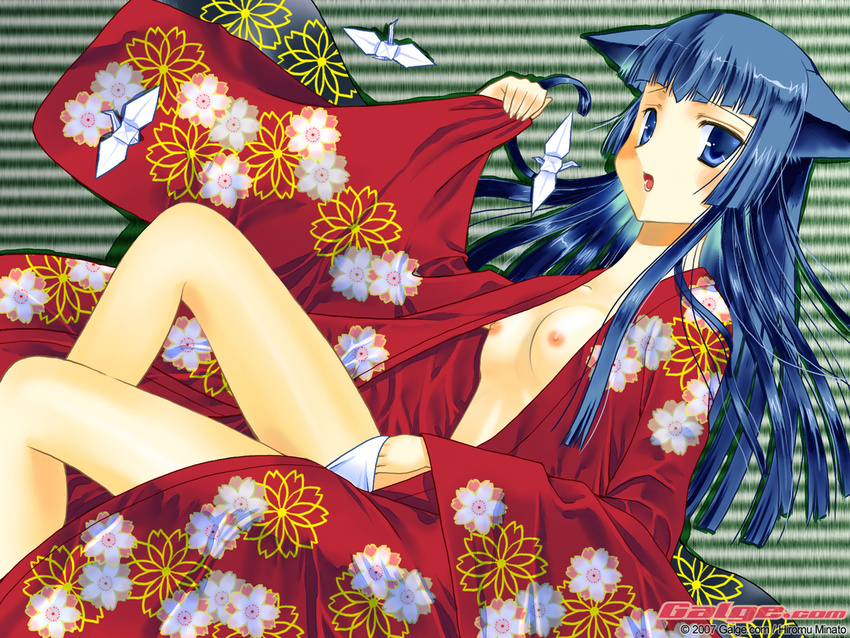 animal_ears blue_eyes blue_hair cat_ears flat_chest galge.com japanese_clothes kimono long_hair minato_hiromu open_clothes open_robe robe solo