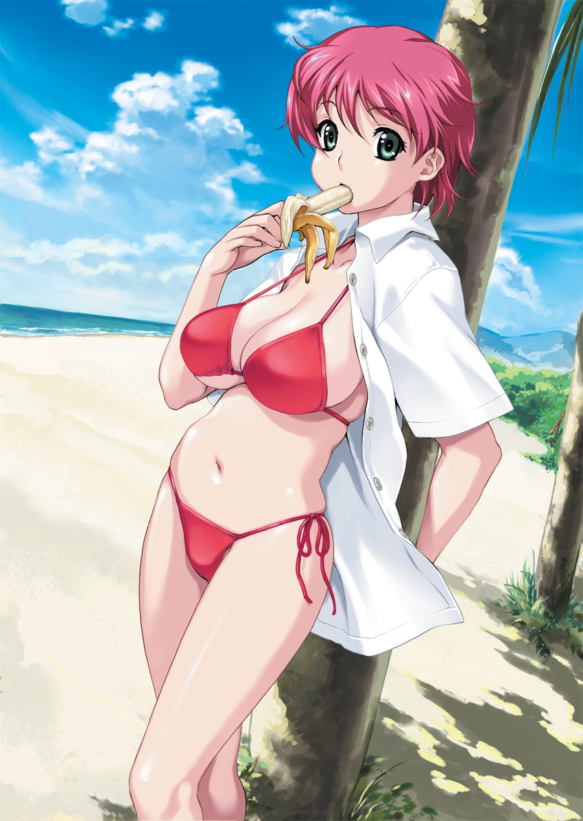 1girl against_tree banana beach bikini breasts curvy dated day eating expressionless eyebrows_visible_through_hair food fruit game_cg green_eyes happoubi_jin highres holding holding_food holding_fruit iihara_nao large_breasts navel open_clothes open_shirt outdoors pink_hair red_bikini resort_boin shirt short_hair short_sleeves side-tie_bikini solo standing strap_gap swimsuit tree unbuttoned unbuttoned_shirt