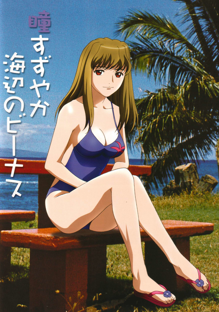 absurdres beach breasts brown_hair cleavage day fujino_shizuru highres large_breasts long_hair my-hime non-web_source ocean official_art one-piece_swimsuit red_eyes solo swimsuit translation_request