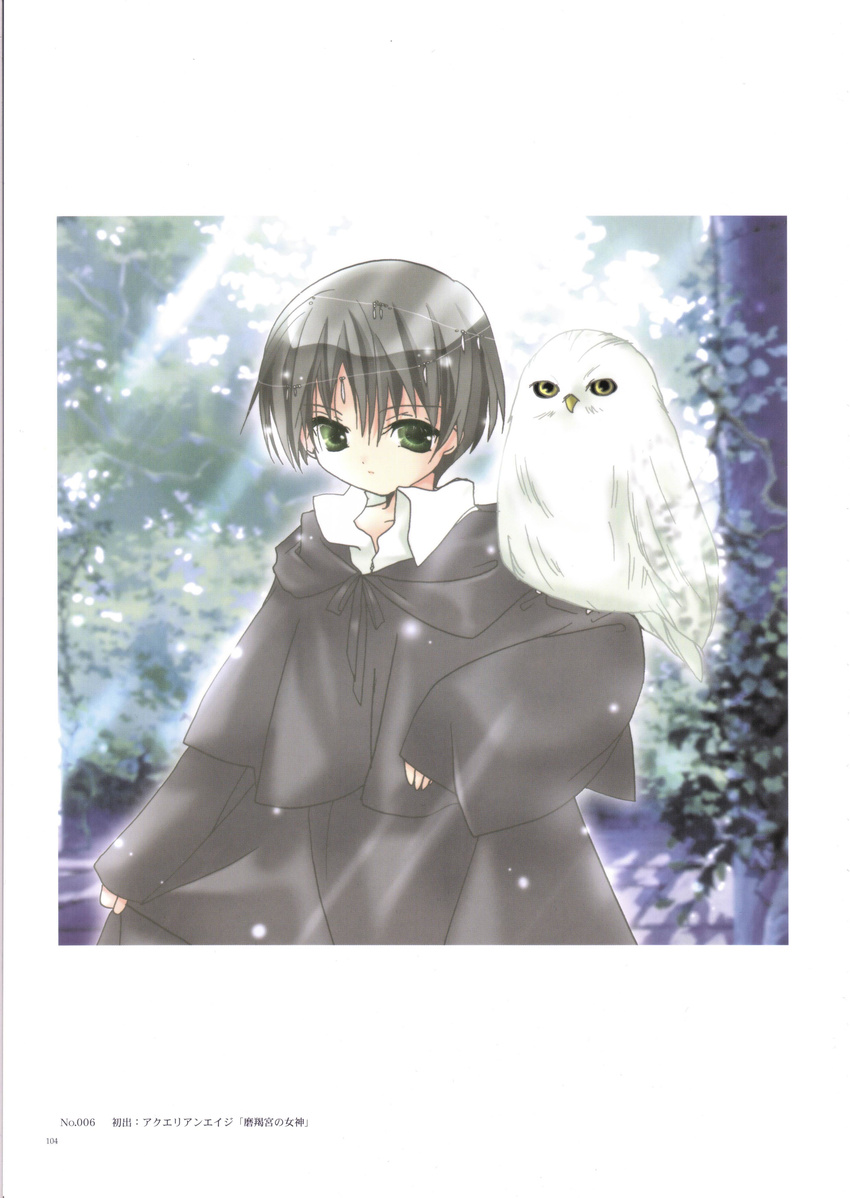 absurdres androgynous animal bird black_hair blush border green_eyes harry_potter hedwig highres koge_donbo long_sleeves looking_at_viewer owl solo text_focus upper_body