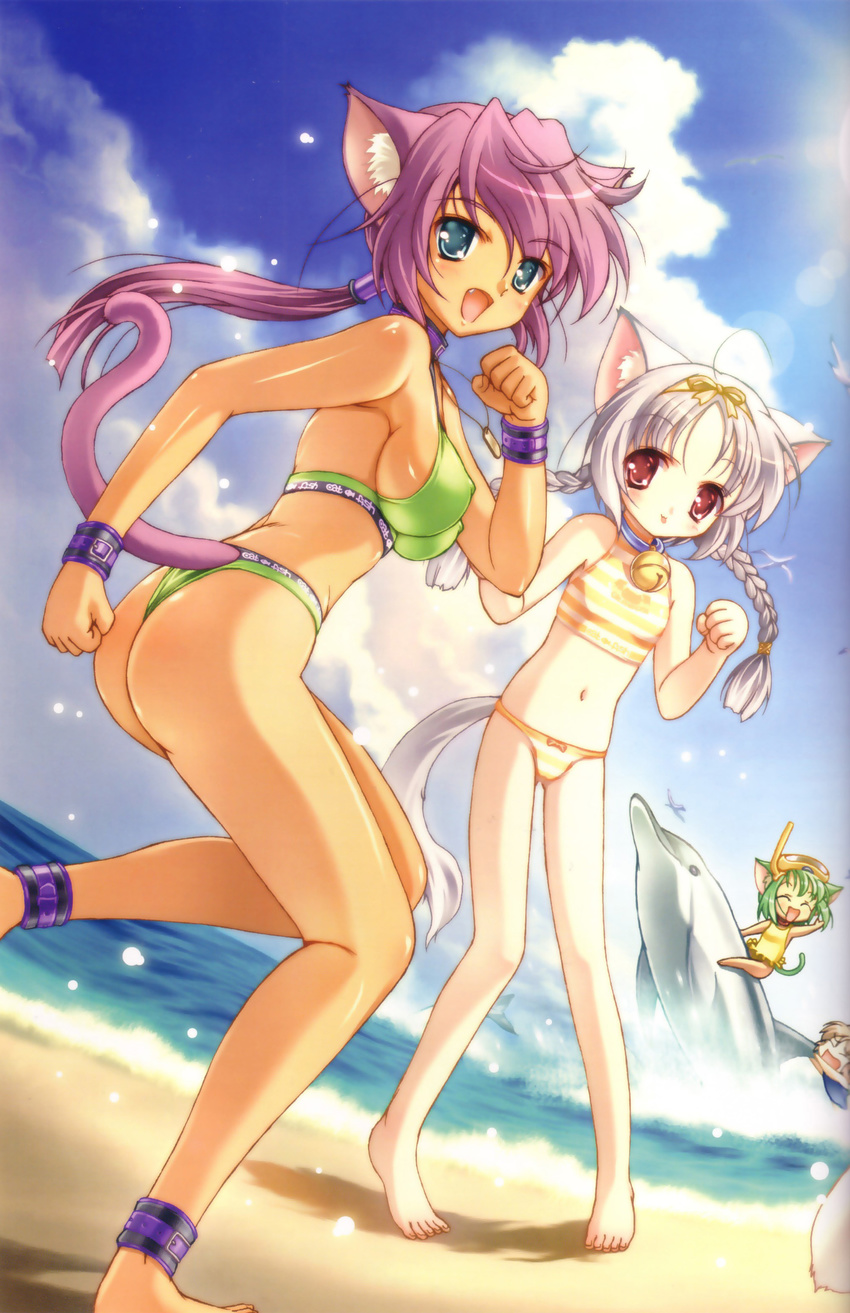 absurdres ankle_cuffs anklet anklets cuffs dolphin highres ishida_hiroyuki jewelry megami pink_hair swimsuit white_hair wrist_cuffs