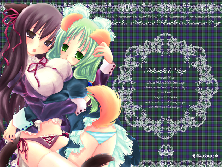 animal_ears au_pied brown_eyes brown_hair dog_ears dress dress_lift garden_(game) green_eyes green_hair hair_ribbon highres kasuga_sakurako long_hair multiple_girls otokawa_sayo panties purple_panties ribbon side-tie_panties striped striped_panties tail underwear