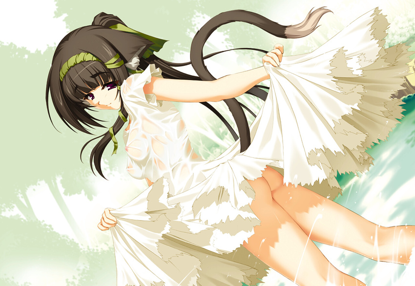 1girl animal_ears ass black_hair breasts brown_hair butt cat_ears cat_tail catgirl dress dress_lift dutch_angle female hair hair_ribbon highres legs long_hair looking_back nature nekomimi nipples no_bra no_panties outdoors pony_tail ponytail purple_eyes purple_hair ribbon sasaki_tamaru see-through smile solo source_request suzukuri_dragon tail tree unknown_artist wading wallpaper water wet wet_clothes yume_saion