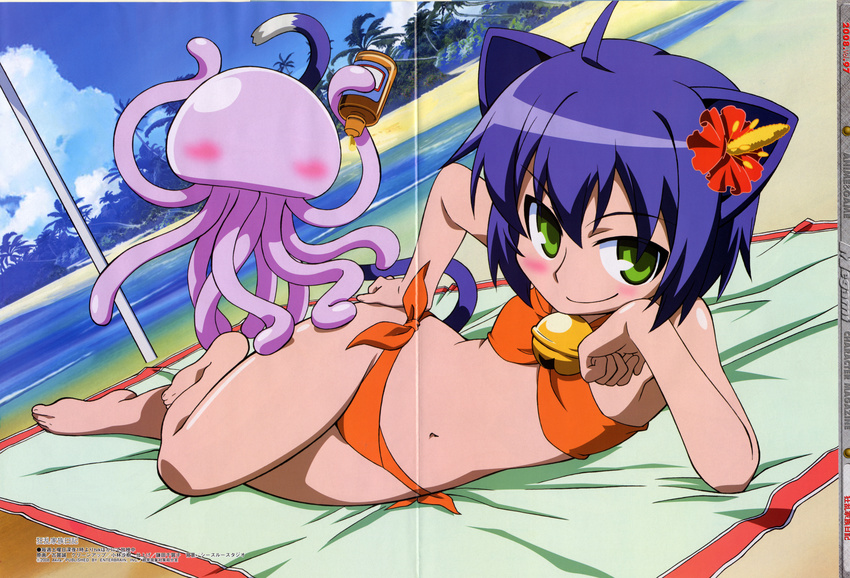 absurdres ahoge animal_ears barefoot beach bell bikini blue_hair cat_ears cat_tail crease day flower green_eyes hibiscus highres huge_filesize jellyfish jingle_bell koga_makoto kyouran_kazoku_nikki lying megami midarezaki_gekka midarezaki_kyouka navel on_side orange_bikini outdoors pinup scan scan_artifacts side-tie_bikini swimsuit tail