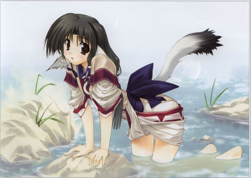 ainu_clothes all_fours animal_ears artist_request barefoot blush brown_hair dog_ears eruruw highres layered_sleeves solo tail utawareru_mono