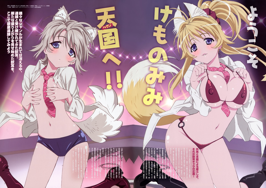 animal_ears bikini blonde_hair blue_eyes blush breast_squeeze breasts cleavage dress_shirt ezomori_nozomu flat_chest fox_ears fox_tail highres kanokon large_breasts long_hair micro_bikini minamoto_chizuru multiple_girls necktie no_nose open_clothes open_shirt scan shirt short_hair silver_hair small_breasts swimsuit tail takami_akio translated wolf_ears