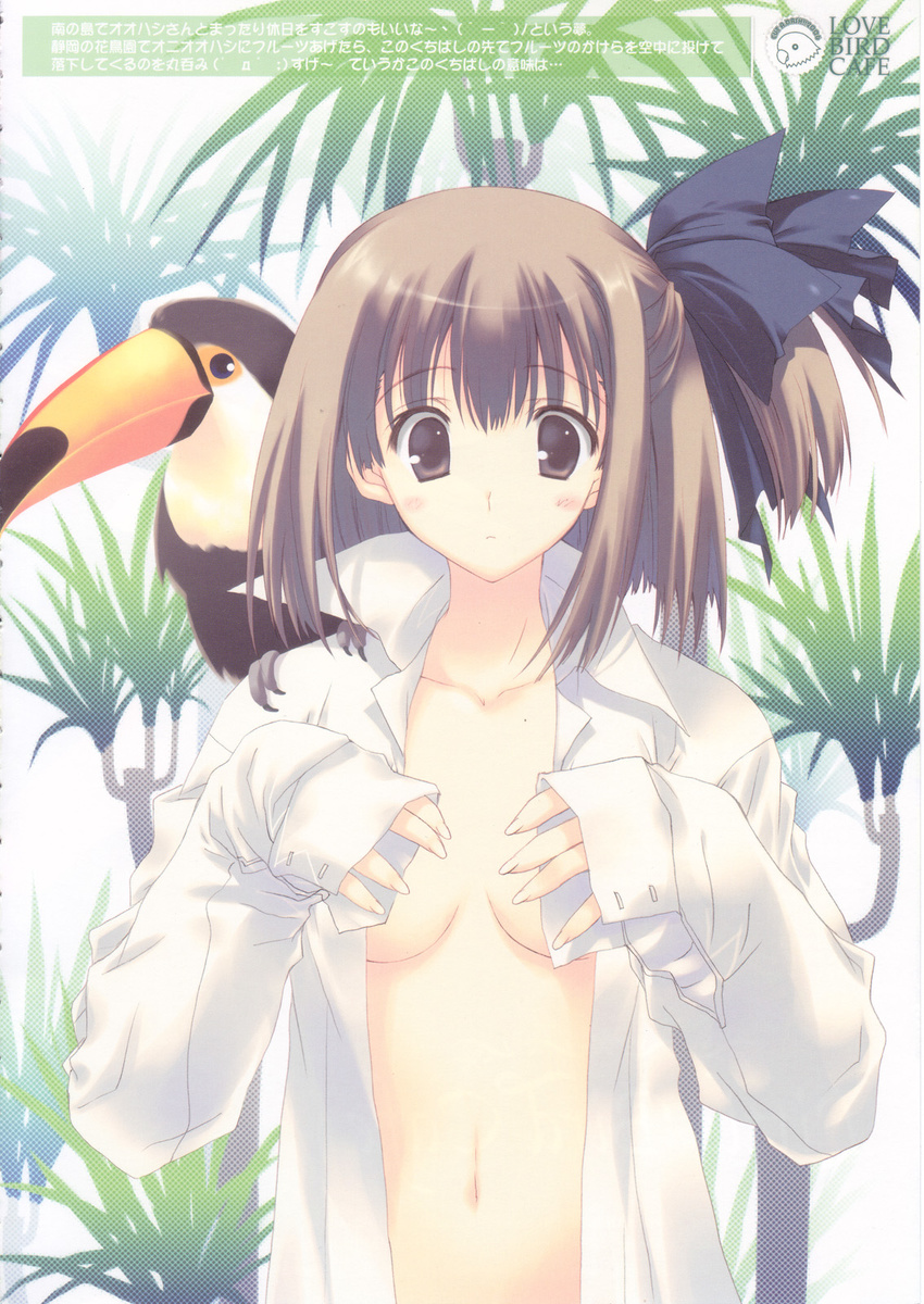 animal animal_on_shoulder artist_request bird bird_on_shoulder blue_eyes brown_hair copyright_request hair_ribbon highres open_clothes open_shirt ribbon shirt side_ponytail solo toucan