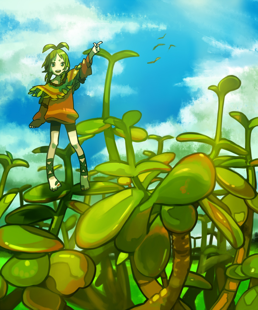 antenna_hair bad_id bad_pixiv_id bird cloud day green_hair haruo_(clownberry) highres nature original plant plant_girl pointing sky solo