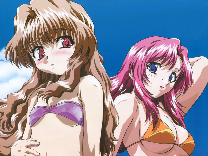 arm_up bandeau bikini blue_eyes blush breasts brown_hair cleavage cloud day embarrassed flat_chest kazami_mizuho kimishima_ikutomo large_breasts lipstick long_hair makeup micro_bikini morino_ichigo multiple_girls official_art onegai_teacher outdoors pink_eyes pink_hair sideboob sky smile swimsuit underboob wallpaper wavy_hair