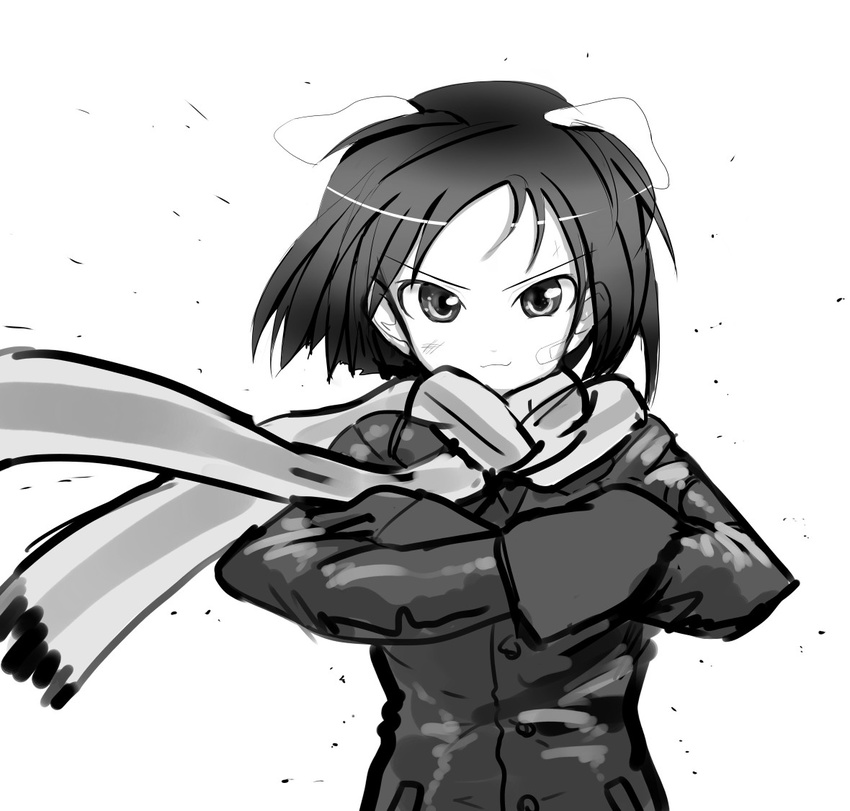 animal_ears bad_id bad_pixiv_id bandaid bandaid_on_face brave_witches crossed_arms greyscale kaneda_akihiro kanno_naoe monochrome scarf solo upper_body world_witches_series