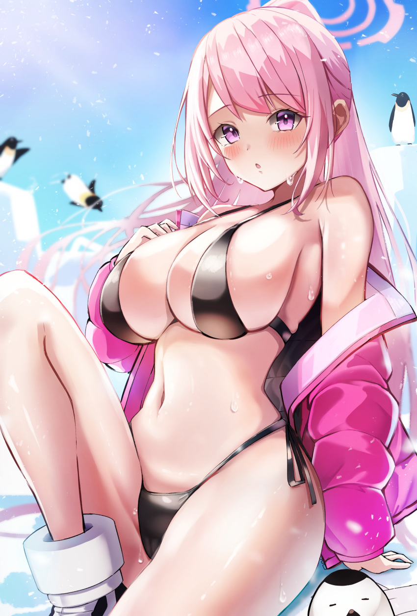 1girl absurdres bare_shoulders bikini bird black_bikini blue_archive blue_sky blush breasts commentary_request day eimi_(blue_archive) eimi_(swimsuit)_(blue_archive) glacier goggles halo highres jacket kuromiz large_breasts long_hair looking_at_viewer navel official_alternate_costume open_clothes open_jacket padded_jacket partial_commentary penguin pink_hair pink_halo pink_jacket ponytail sitting sky solo_focus string_bikini sweat swimsuit
