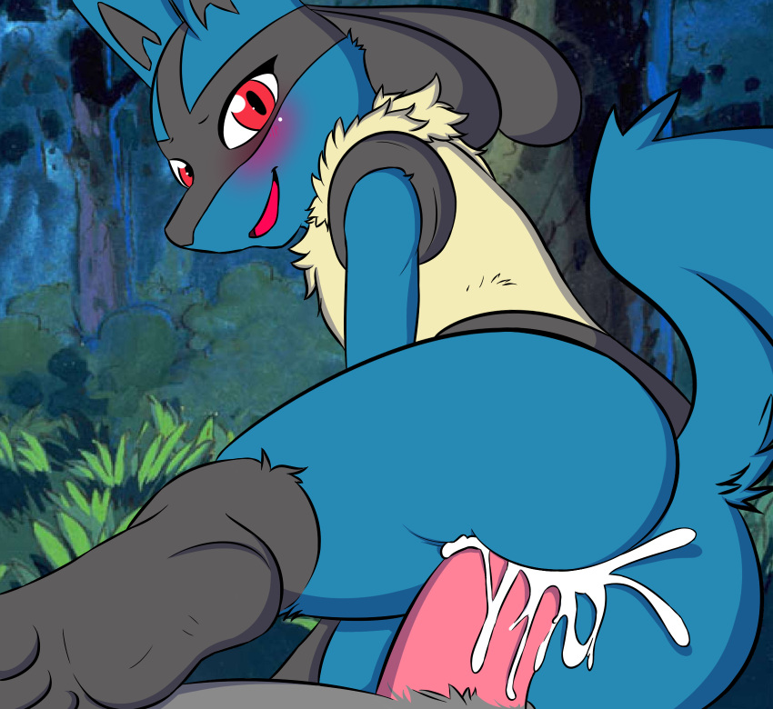 anal anal_penetration anthro balls blue_body blush bodily_fluids butt cum cum_in_ass cum_inside duo fur generation_4_pokemon genital_fluids genitals hi_res jhussethy looking_at_viewer lucario male male/male nintendo on_bottom on_top penetration penis pokemon pokemon_(species) reverse_cowgirl_position sex tail