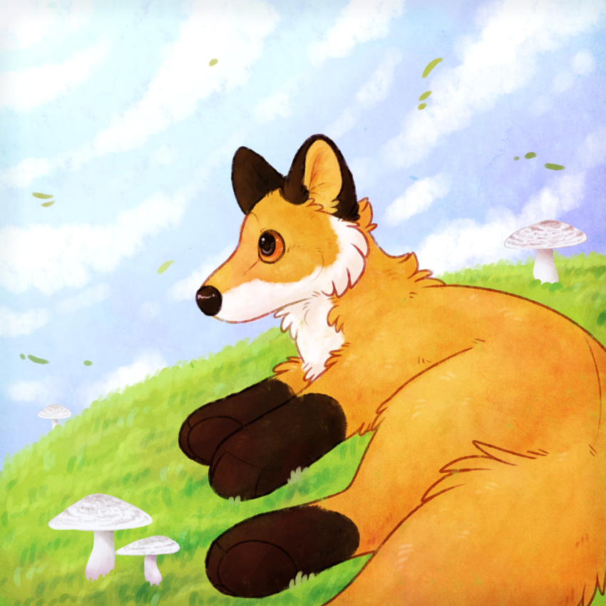 2023 ambiguous_gender animate_inanimate black_nose blue_sky brown_markings canid canine cloud day detailed_background digital_drawing_(artwork) digital_media_(artwork) douglas_cuddle_toys feral fox full-length_portrait fungus fur grass hi_res living_plushie lore_(maligaytor) lying male_(lore) maligaytor mammal markings mushroom orange_body orange_eyes orange_fur outside plant plushie portrait red_fox shaded sky snout soft_shading solo tail white_body white_fur