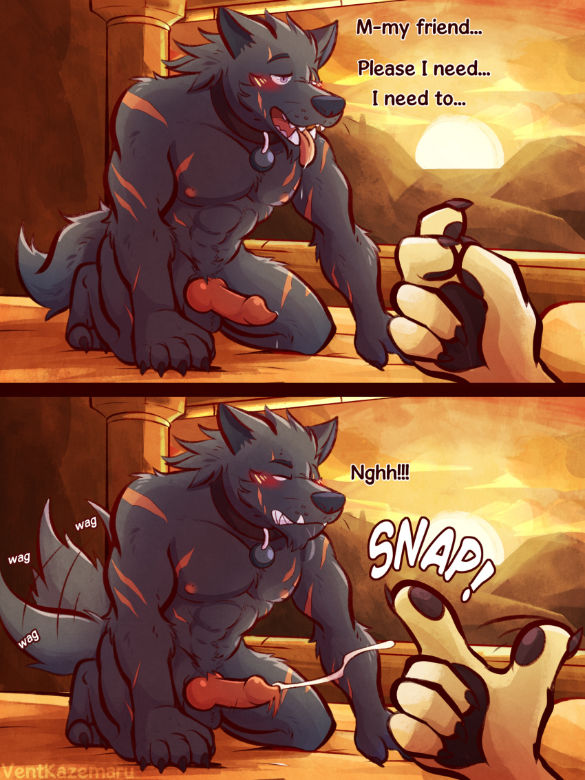 anal_beads anthro balls blaidd_(elden_ring) blush bodily_fluids canid canine canis collar comic cum elden_ring fromsoftware genital_fluids genitals hi_res knot male mammal muscular pawpads penis precum saliva scar sex_toy snapping_fingers sunset tail tail_motion tailwag text tongue tongue_out ventkazemaru wolf