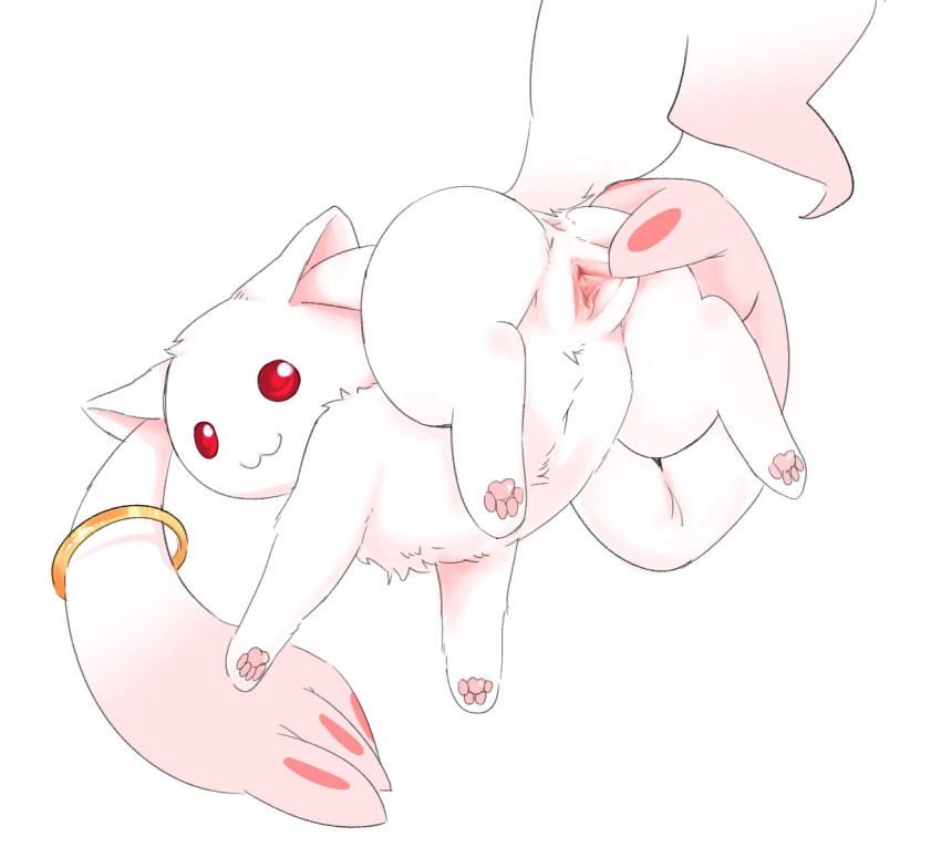 butt chest_tuft clitoris female feral fur genitals hi_res incubator_(puella_magi) kirichiiii kyubey looking_back mahou_shoujo_madoka_magica presenting presenting_hindquarters puella_magi pussy red_eyes ring solo spread_pussy spreading tuft white_body white_fur