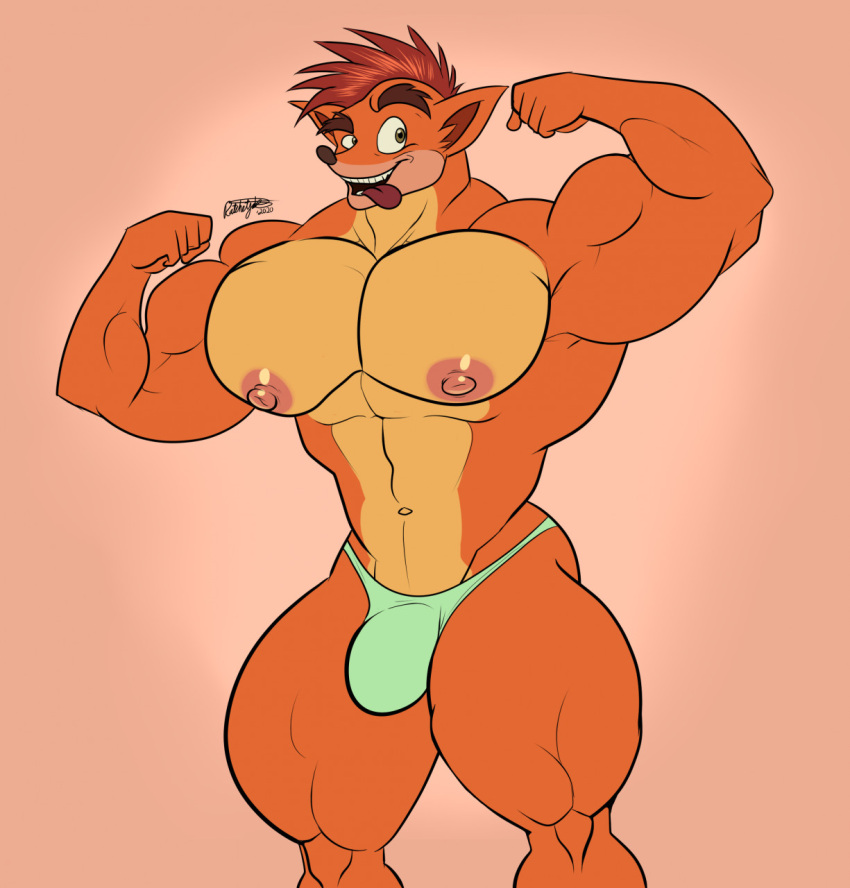 abs activision anthro bandicoot barazoku big_muscles big_pecs bottomwear bulge clothed clothing crash_bandicoot crash_bandicoot_(series) flexing fur green_eyes grin hair hi_res male mammal marsupial mohawk multicolored_body muscular muscular_arms muscular_legs muscular_male navel nipples orange_body orange_fur pecs playstation pose quads ratchetjak red_hair smile solo sony_corporation sony_interactive_entertainment thick_thighs thong tongue tongue_out two_tone_body underwear