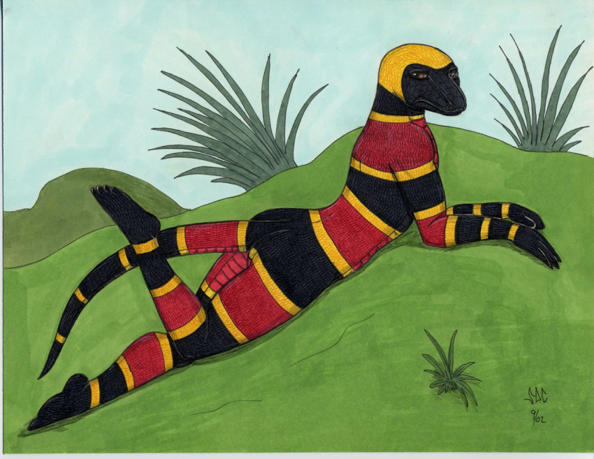 2002 anthro black_body black_skin brown_eyes butt coral_snake elapid_(snake) female grass ironbadger lying on_front plant raised_foot red_body red_skin reptile scales scalie snake solo striped_body striped_skin stripes tail yellow_body yellow_skin