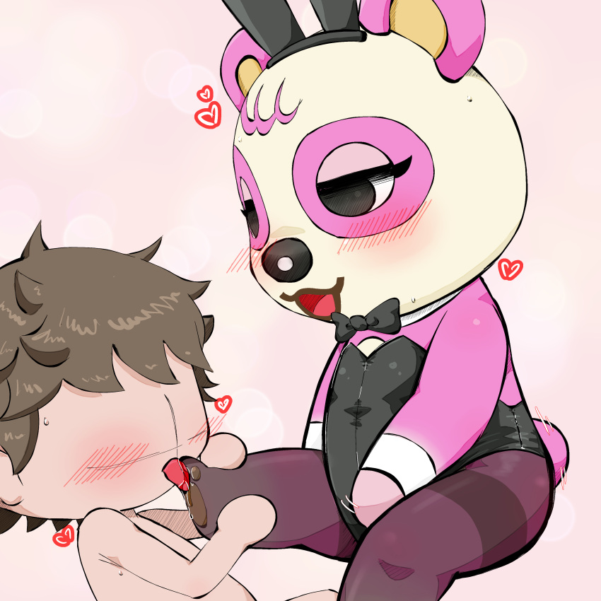 &lt;3 absurd_res aka_leopard animal_crossing anthro bear black_bow_tie black_clothing black_legwear black_leotard black_nose black_pantyhose blush blush_lines bodily_fluids bow_tie bunny_costume chibi clothing costume countershade_torso countershading cuffs_(clothing) duo faceless_character faceless_human faceless_male fake_ears fake_rabbit_ears featureless_hands feet female foot_fetish foot_lick foot_play fur giant_panda half-closed_eyes hands_on_legs hi_res human legwear leotard licking lingerie male male/female mammal narrowed_eyes nintendo nude on_model open_mouth pantyhose pawpads pink_background pink_body pink_ears pink_fur pinky_(animal_crossing) saliva scut_tail short_tail simple_background sweat sweatdrop tail tail_motion tailwag teddy_(clothing) tongue tongue_out villager_(animal_crossing) white_body white_fur yellow_inner_ear