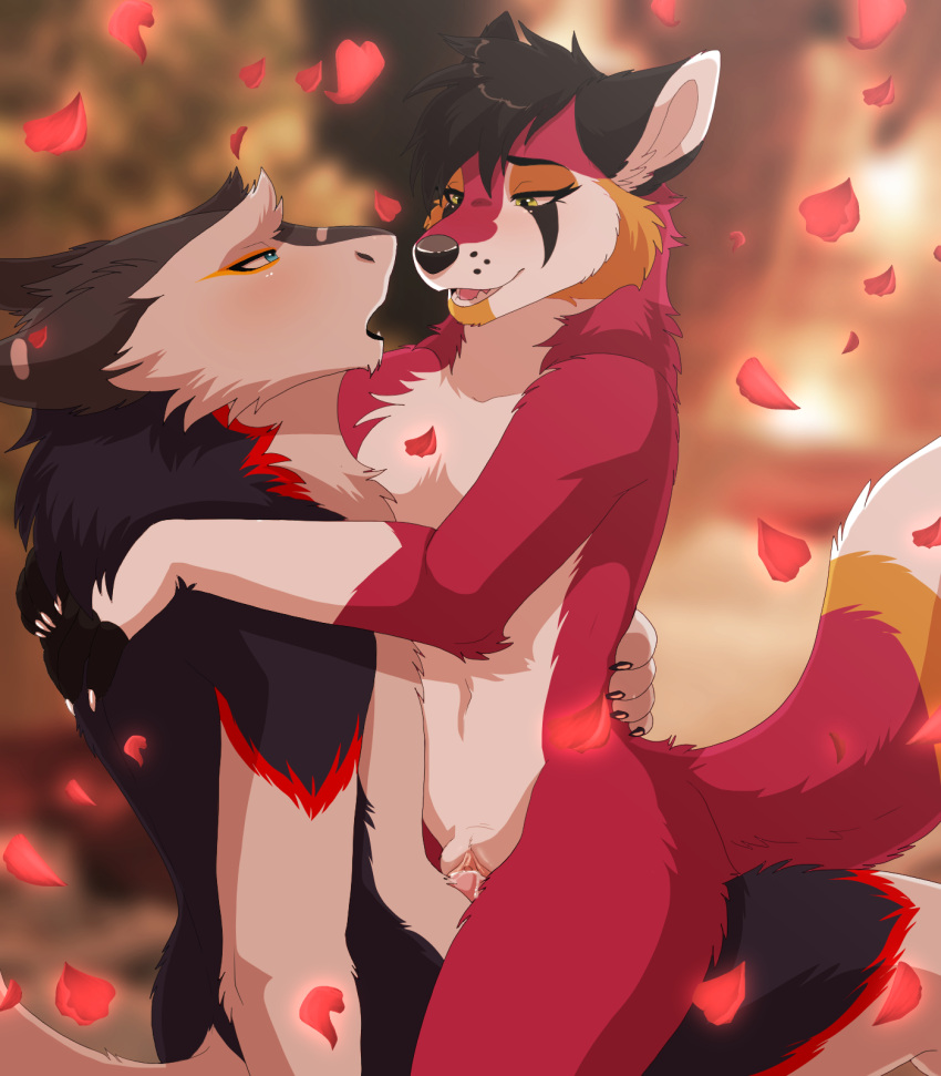 anthro canid canine duo eye_contact female genitals hand_on_back hands_on_shoulders hi_res lawkie looking_at_another looking_at_partner male male/female mammal open_mouth penetration petals pussy romantic sergal smile tail vaginal vaginal_penetration