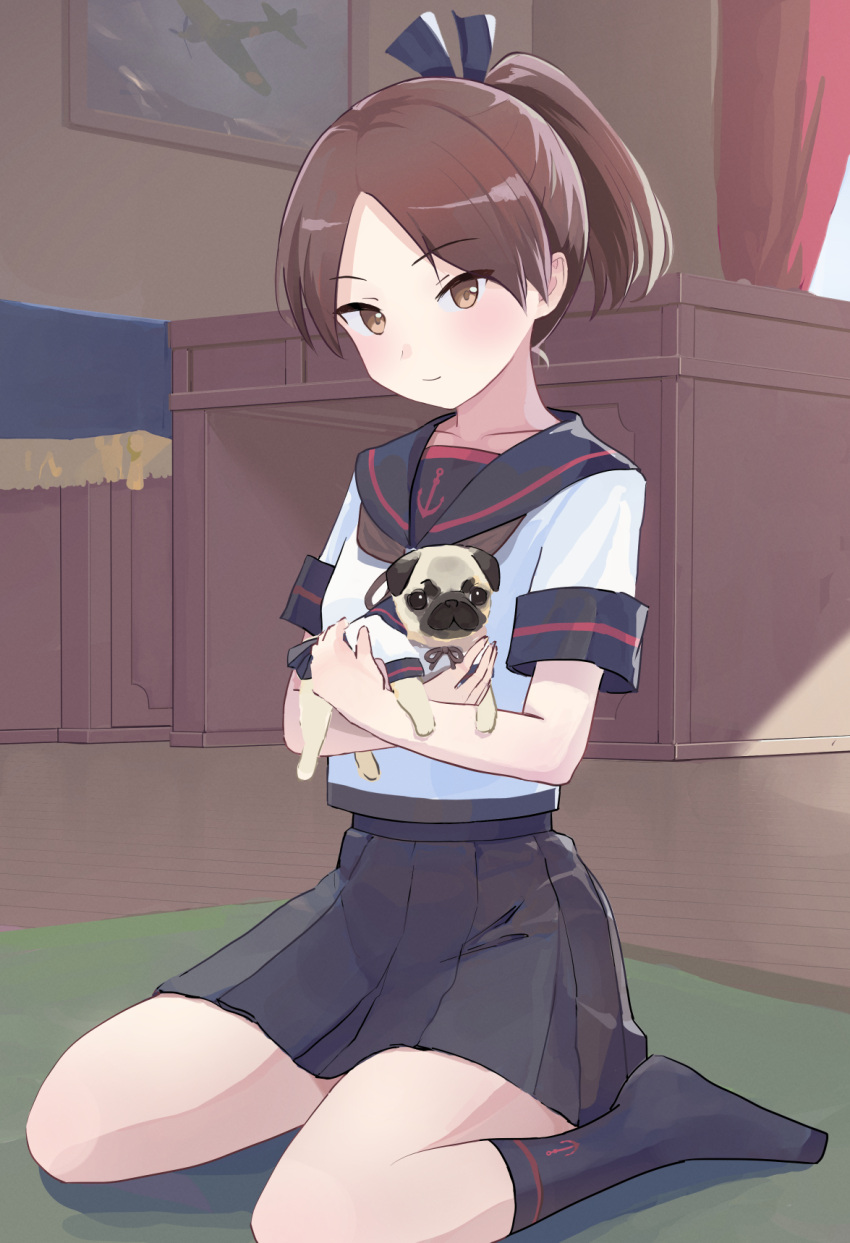 1girl anchor_symbol animal black_ribbon black_sailor_collar black_skirt black_socks brown_eyes brown_hair brown_necktie clothed_animal commission curtains desk dog hair_ribbon highres holding holding_animal holding_dog indoors kantai_collection looking_at_viewer neckerchief necktie on_floor pixiv_commission pleated_skirt ponytail pug ribbon sailor_collar school_uniform serafuku shikinami_(kancolle) shikinami_kai_ni_(kancolle) short_sleeves skirt socks yuu+