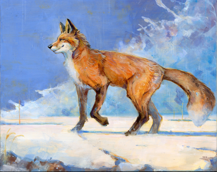 akatan_art ambiguous_gender black_nose canid canine cheek_tuft cloud dipstick_tail facial_tuft feral fox fur hi_res leg_markings mammal markings mouth_closed neck_tuft orange_body orange_fur orange_tail outside side_view sky socks_(marking) solo tail tail_markings tuft white_body white_fur white_tail