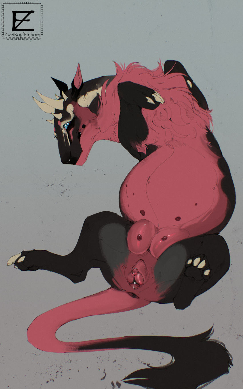 absurd_res anus black_body black_fur blue_sclera claws dragon felkin female feral fur furred_dragon furred_scalie genitals hi_res horn ibel_(zweikopfeinhorn) looking_at_viewer mythological_creature mythological_scalie mythology pink_anus pink_body pink_fur pink_pussy pregnant pregnant_female pussy scalie solo white_claws zweikopfeinhorn