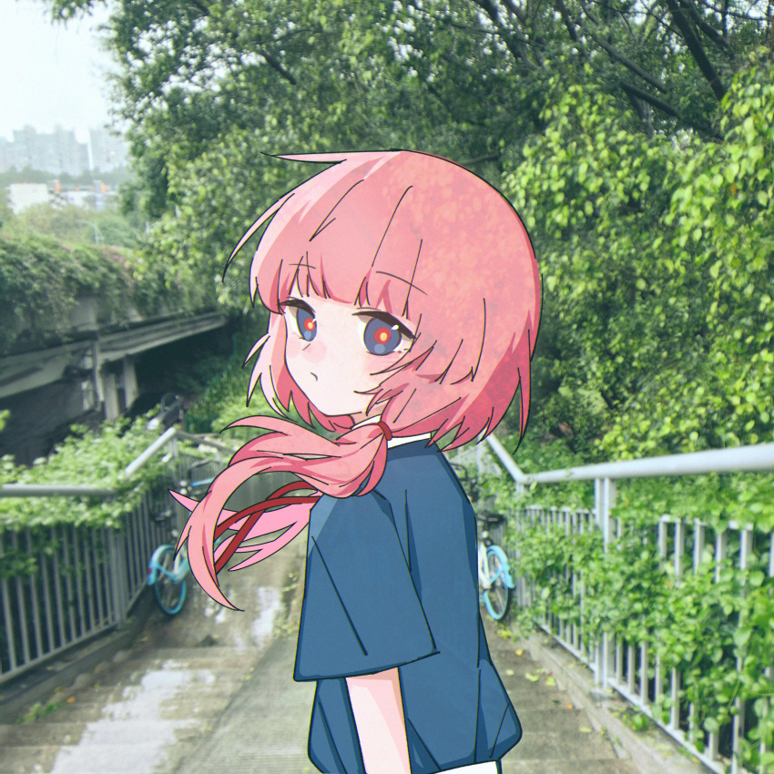 1girl absurdres arms_at_sides bicycle blue_eyes blue_shirt blush closed_mouth day from_behind hair_over_shoulder highres kaf_(kamitsubaki_studio) kamitsubaki_studio long_bangs long_hair looking_at_viewer low-tied_long_hair nature outdoors photo_(medium) pink_hair railing ringed_eyes shirt short_sleeves sidelocks solo stairs t-shirt takki_(takkiko) tree upper_body yellow_pupils