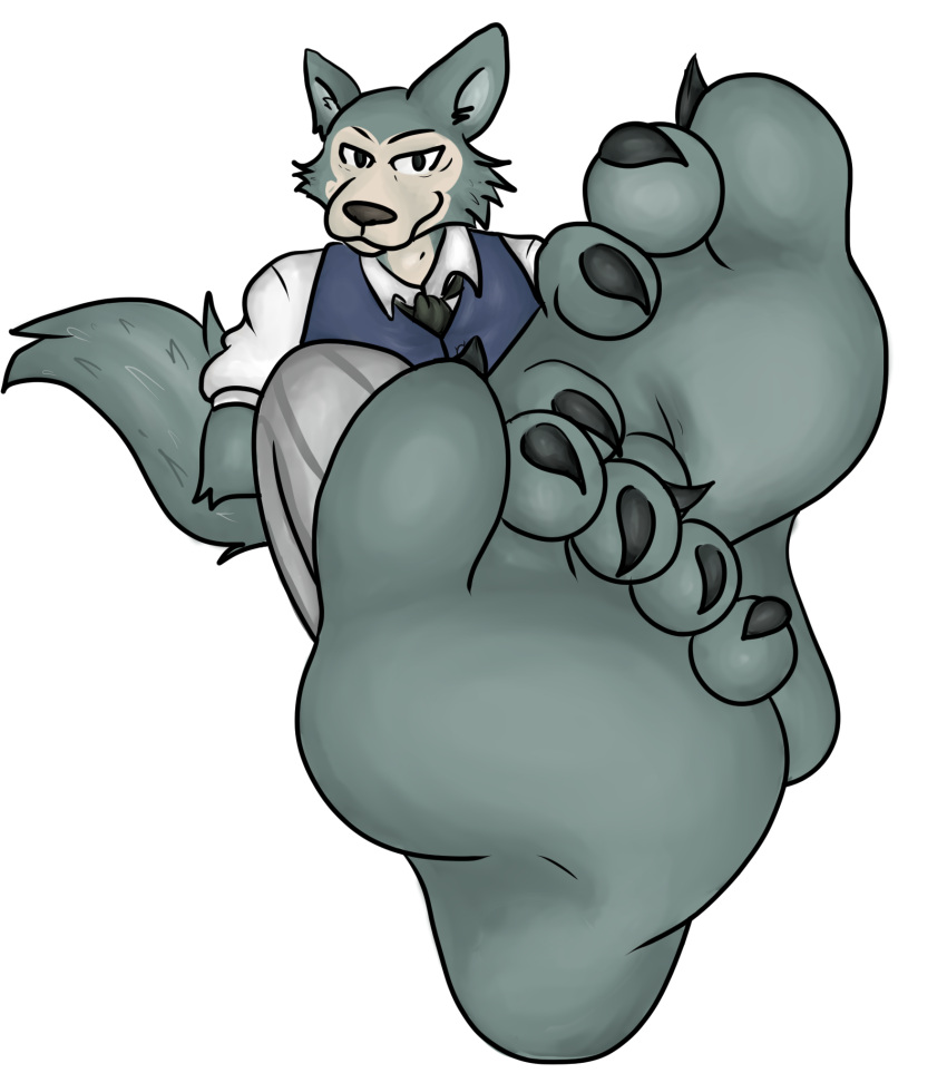 5_toes alpha_channel anthro barefoot beastars black_eyes black_nose black_toe_claws blue_clothing blue_topwear bottomwear canid canine canis clothing countershade_face countershade_neck countershading feet foot_focus grey_body grey_bottomwear grey_clothing grey_pants hi_res humanoid_feet legoshi_(beastars) male mammal pants pattern_bottomwear pattern_clothing pattern_pants plantigrade school_uniform shaded simple_background simple_shading skonczonyidiota solo striped_bottomwear striped_clothing striped_pants stripes tail toes topwear transparent_background uniform white_body white_clothing white_countershading white_inner_ear white_topwear wolf